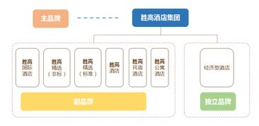 胜高Sego品牌营销案例总结